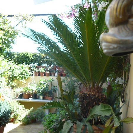 La Terrazza Dei Pelargoni B&B Ventimiglia Exteriör bild