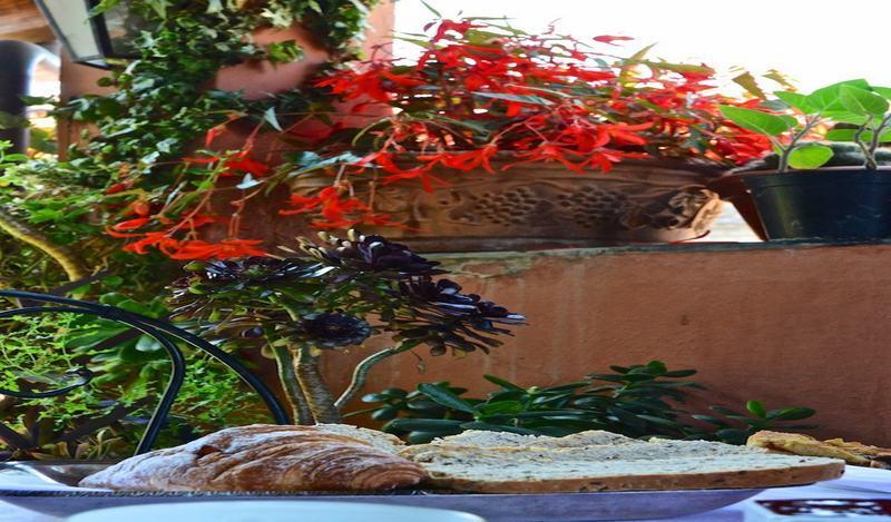 La Terrazza Dei Pelargoni B&B Ventimiglia Exteriör bild
