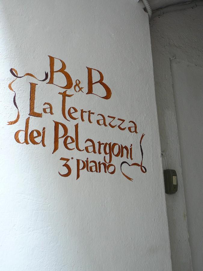 La Terrazza Dei Pelargoni B&B Ventimiglia Exteriör bild
