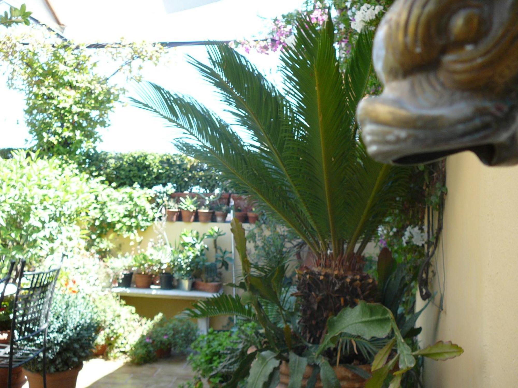 La Terrazza Dei Pelargoni B&B Ventimiglia Exteriör bild